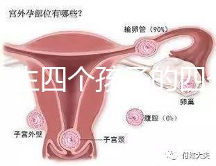寧夏生四個孩子的四個女孩補貼多少2024年,給2萬元或非謠言