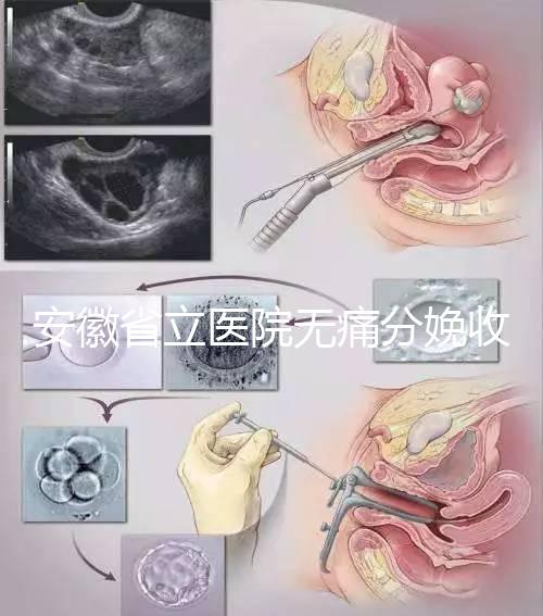 安徽省立醫(yī)院無痛分娩收費標準,過來人經歷告訴你怎么樣