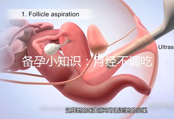 備孕小知識(shí):月經(jīng)不調(diào)吃黃體酮或補(bǔ)佳樂還是達(dá)英35好