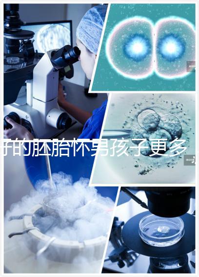 好的胚胎懷男孩子更多，驚呀！什么時候質量決定性別了