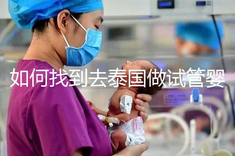 如何找到去泰國做試管嬰兒的本地翻譯?內部搜索可靠的本地翻譯方法分析