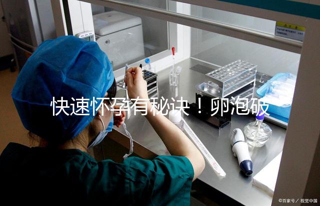 快速懷孕有秘訣！卵泡破裂后多久同房是關鍵