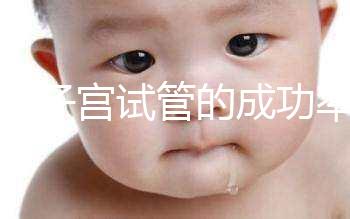弓形子宮試管的成功率在這里有多少答案？這樣做著床并不難