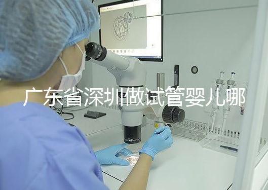 廣東省深圳做試管嬰兒哪里好?盤點成功率最高的醫(yī)院排名