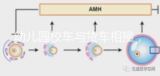 幼兒園校車與貨車相撞，乘坐校車要告訴寶寶注意事項！