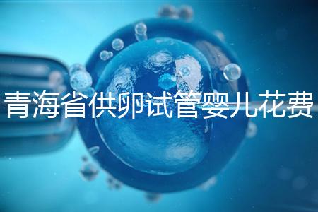 青海省供卵試管嬰兒花費明細(xì)表一覽,一次成功助孕費用最低