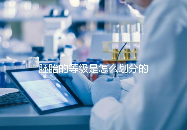 胚胎的等級是怎么劃分的？詳解3天胚胎與5天囊胚的評估標準