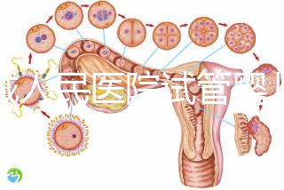 聊城人民醫院試管嬰兒成功率怎么樣，3大助孕案例告訴你答案