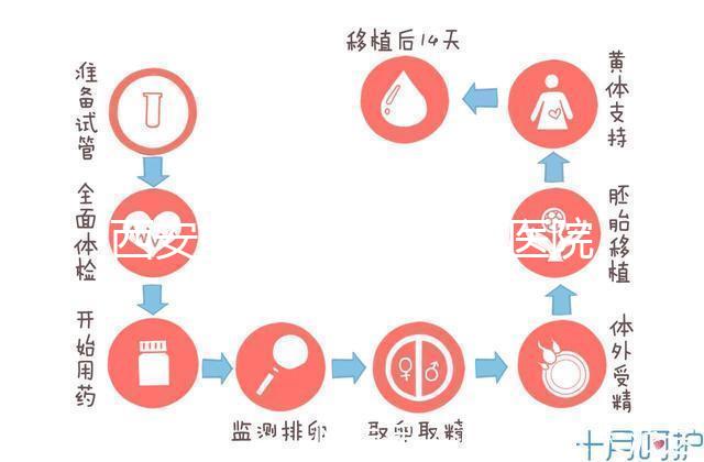 西安能做試管嬰兒的醫院哪家成功率最高？本地Top 5推薦