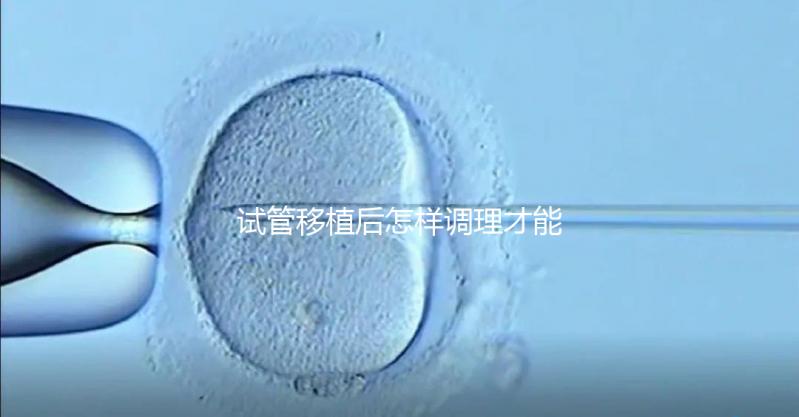 試管移植后怎樣調理才能增加胚胎著床的幾率？