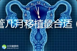 試管幾月移植最合適（試管幾月移植最合適呢）