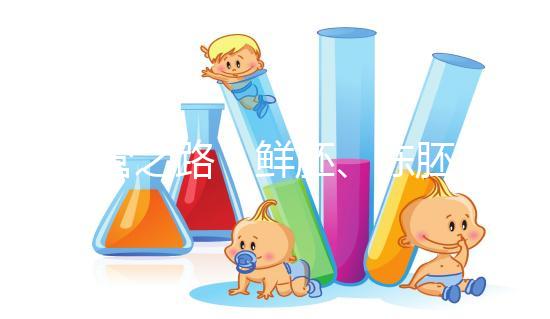 試管之路：鮮胚、凍胚、桑椹胚、囊胚，選擇哪種成功率更高？