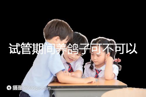 試管期間養鴿子可不可以大揭秘,影響抵抗力千萬注意