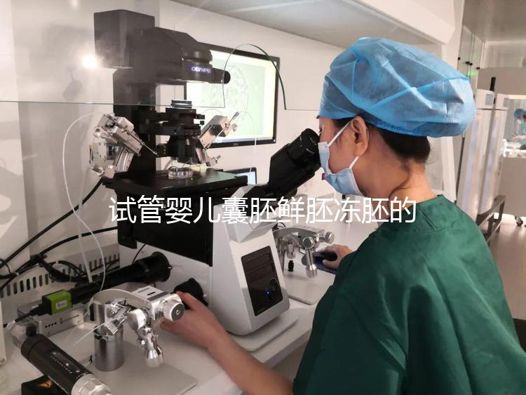 試管嬰兒囊胚鮮胚凍胚的區別是什么？鮮胚移植VS凍胚移植，哪個成功率高？