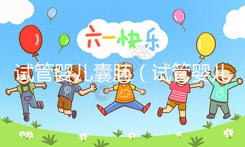 試管嬰兒囊胚(試管嬰兒囊胚質量等級)