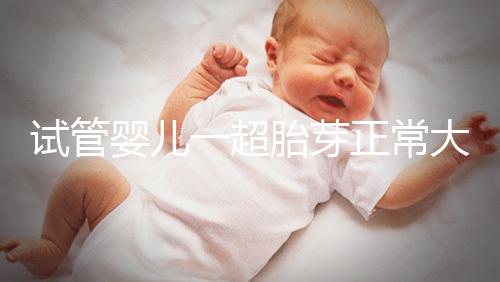 試管嬰兒一超胎芽正常大小不超這個數，2mm不一定會胎停