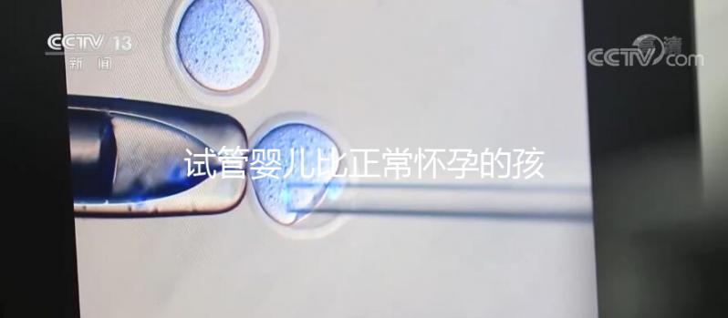 試管嬰兒比正常懷孕的孩子聰明嗎(試管嬰兒長大后的弊端)