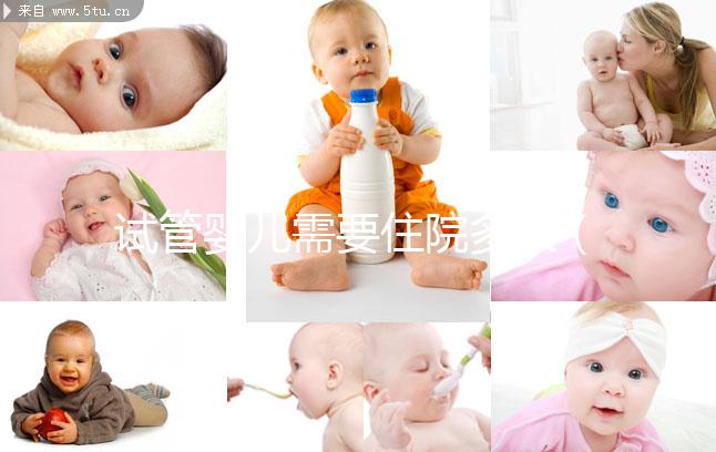 試管嬰兒需要住院多久（試管嬰兒需要住院多久才能上班）