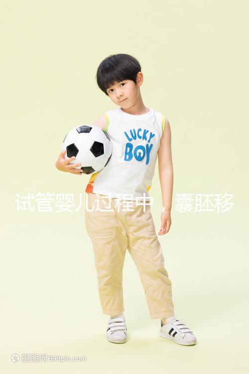 試管嬰兒過程中,囊胚移植和鮮胚移植到底哪個更好?