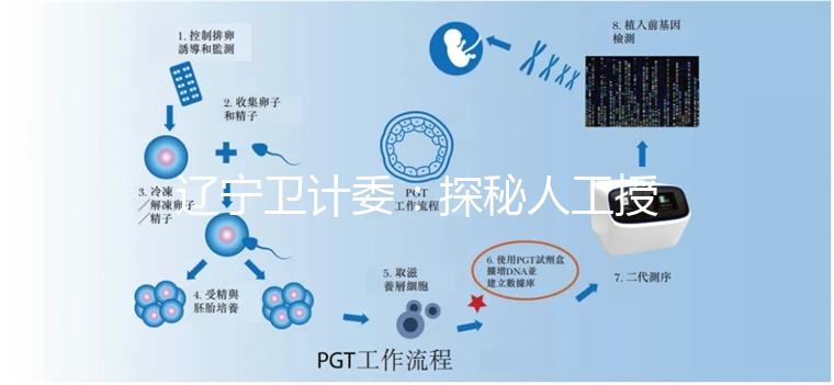遼寧衛(wèi)計(jì)委：探秘人工授精和試管嬰兒的區(qū)別