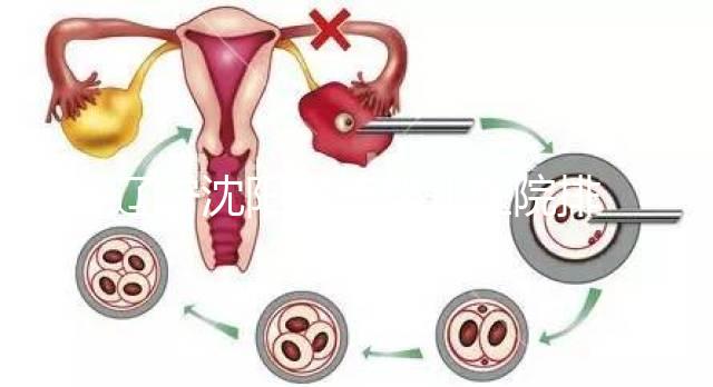 遼寧沈陽試管嬰兒醫院排名匯總新鮮出爐:這14家值得一看!
