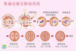 赴美買精生子:DC創(chuàng)始人葉海洋怒砸50萬(wàn)生下五國(guó)混血兒