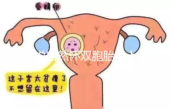 誰說自然懷雙胞胎是上輩子積德了，福報還是孽報一看便知