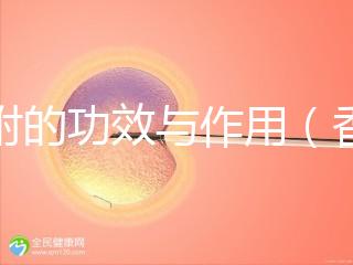 香附的功效與作用(香附的功效與作用主要治什么病)