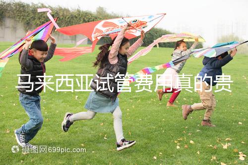 馬來西亞試管費用真的貴么？同善醫院價格說明