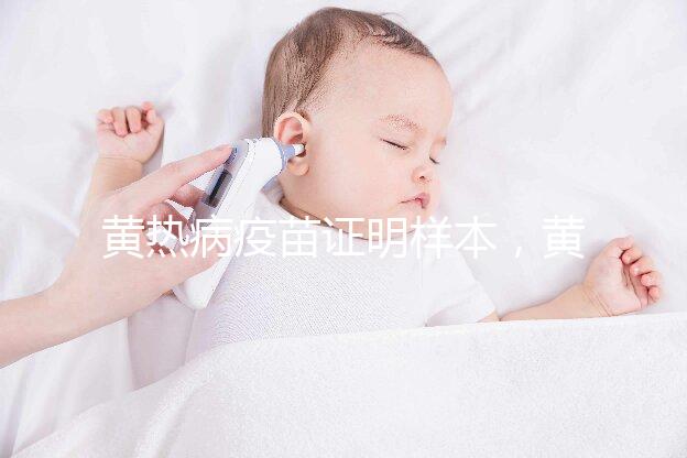 黃熱病疫苗證明樣本，黃皮書(shū)有效期10年附詳細(xì)辦理流程