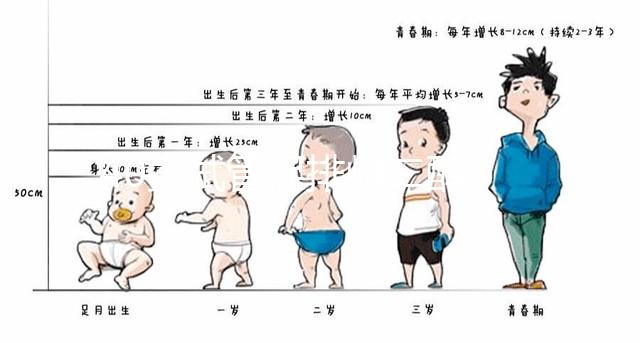 40歲試管促排雌二醇385是否1-2個卵的答案揭曉，想造戳