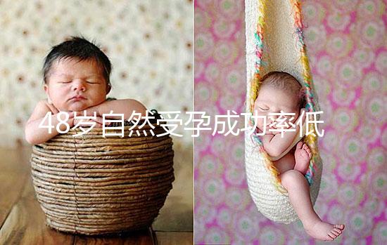 48歲自然受孕成功率低別擔心！提升懷孕的幾率僅需3招