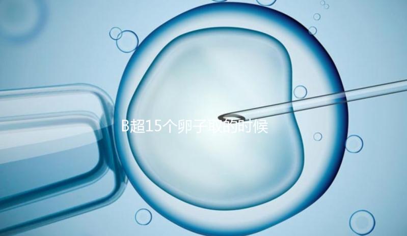 B超15個卵子取的時候只取了8個有原因的卵子,看起來不正常很清楚