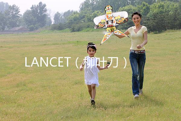 LANCET(柳葉刀)發表中國學者最新研究成果:“第二代試管嬰兒”技術并不能顯著提高子代活產率醫藥新聞
