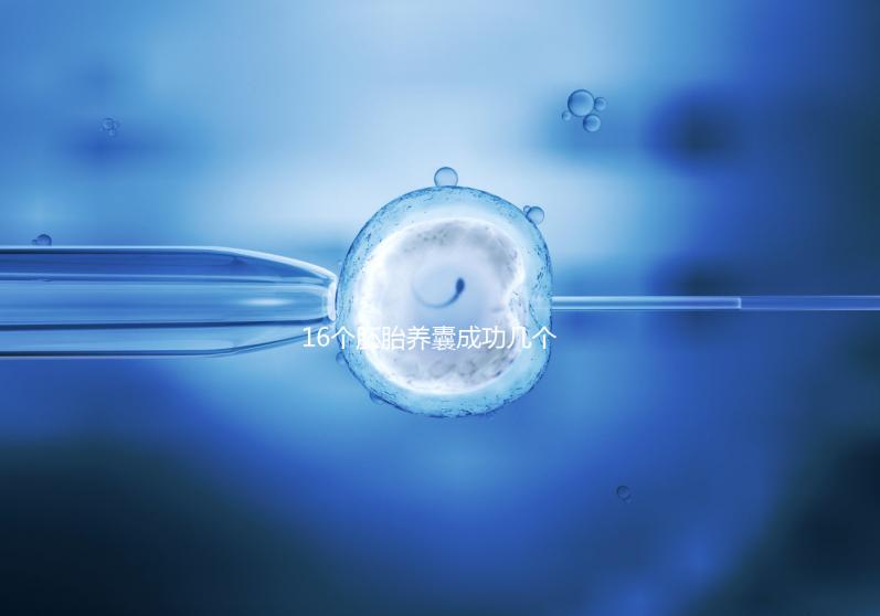 16個(gè)胚胎養(yǎng)囊成功幾個(gè)說(shuō)不準(zhǔn),11個(gè)概率高不高真不一定