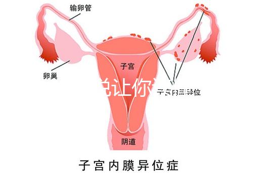 1分鐘解說讓你讀懂,排卵試紙白板一根線等各個反應(yīng)