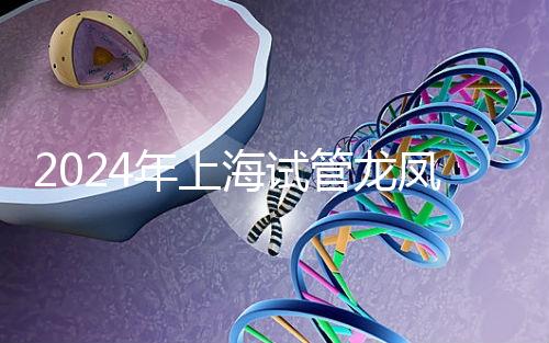 2024年上海試管龍鳳胎價格明細表公布，一次準備3萬元就夠了