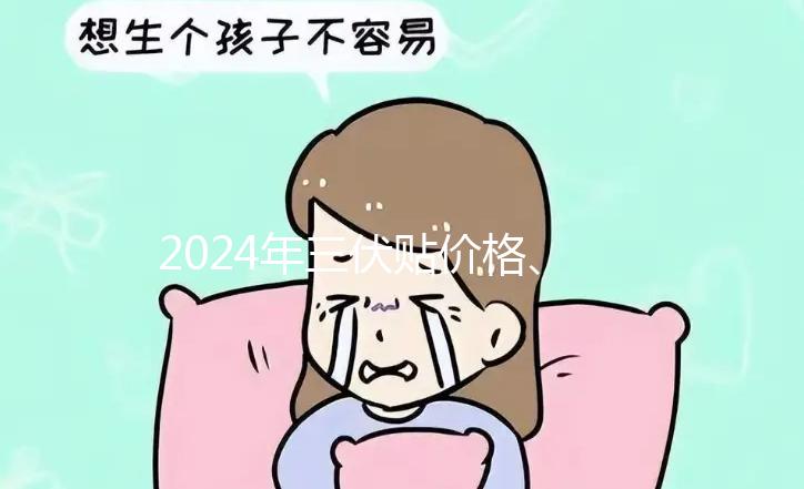 2024年三伏貼價格、品牌、單個療程費用大科普