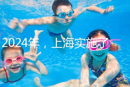 2024年，上海實(shí)施了新的生育保險(xiǎn)政策，單獨(dú)生兩個(gè)孩子也可以享受待遇