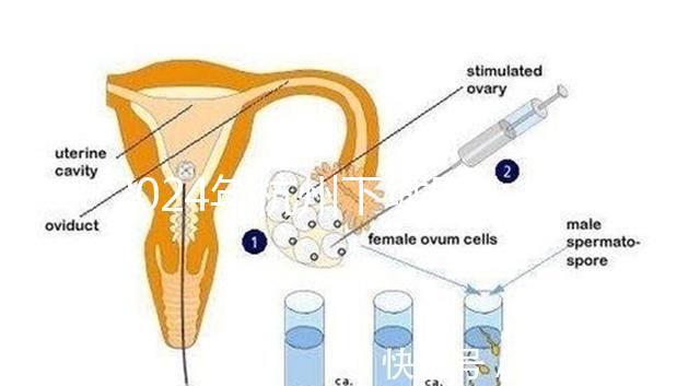 2024年杭州下城區(qū)小學(xué)生入學(xué)條件清單，資料不準(zhǔn)備真的上不去