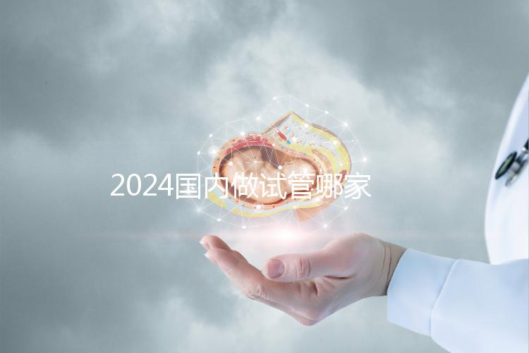 2024國內做試管哪家醫院成功率最高?附排行榜前十名醫院推薦