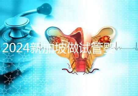 2024新加坡做試管嬰兒醫(yī)院排名曝光,最好的私立機構(gòu)是...