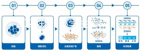 2024鄭州小學生要早知道入學條件,別忘了中原區(qū)的這些證件