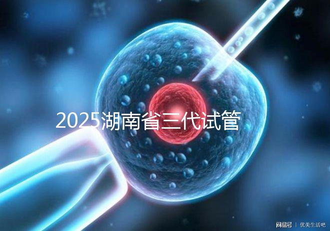 2025湖南省三代試管全部費用明細(xì)匯總,備齊這個金額即可