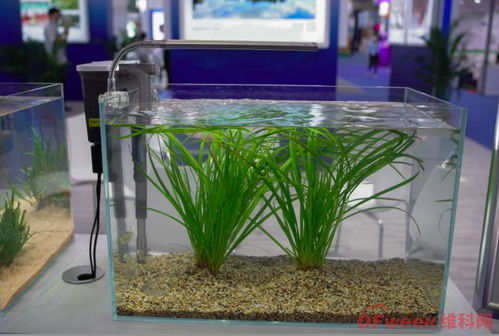 來高交會,見證環?？萍夹铝α? class=