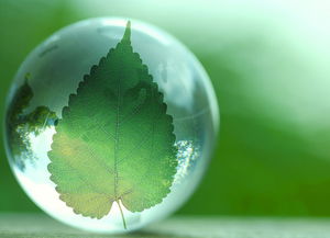 十三五環(huán)?？萍键c(diǎn)將專項(xiàng) 推動(dòng)行業(yè)實(shí)現(xiàn)全方位跨越